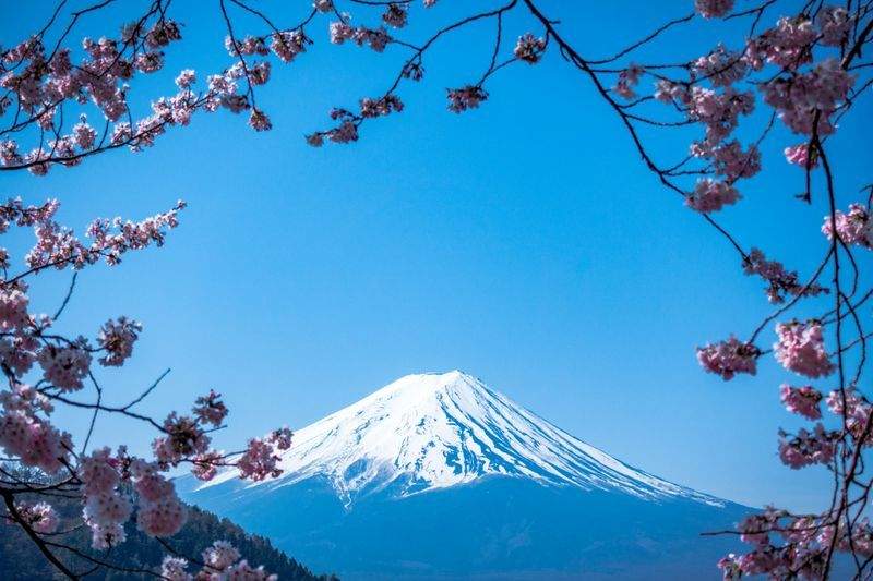 桜風トラベル株式会社 10